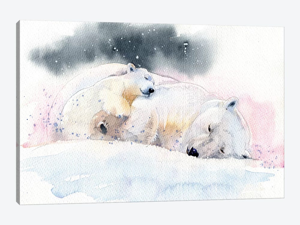 Sleeping Bears by Marina Ignatova 1-piece Canvas Wall Art
