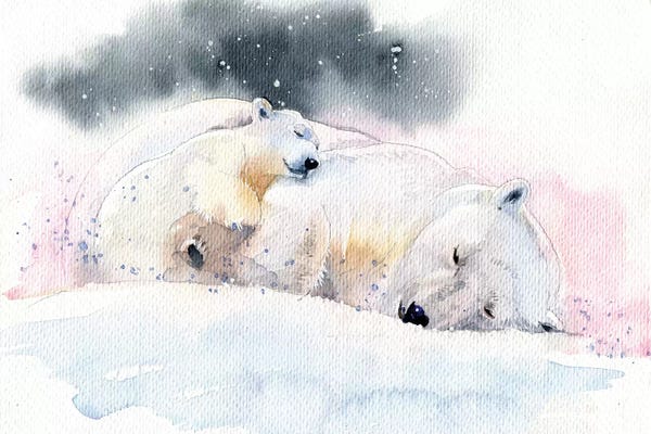 Polar Bears: Sleeping Bears by Marina Ignatova