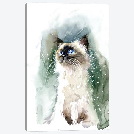 Kitten With Blue Eyes Canvas Print #IGN65} by Marina Ignatova Canvas Wall Art