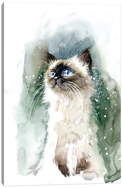 Kitten With Blue Eyes Canvas Art Print - Marina Ignatova