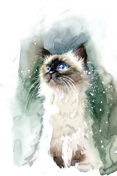 Kittens: Kitten With Blue Eyes by Marina Ignatova