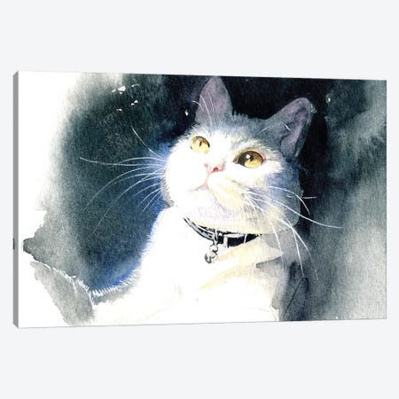 White Cat Canvas Print #IGN67} by Marina Ignatova Canvas Artwork