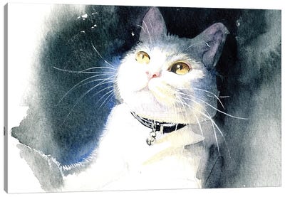 White Cat Canvas Art Print - Marina Ignatova