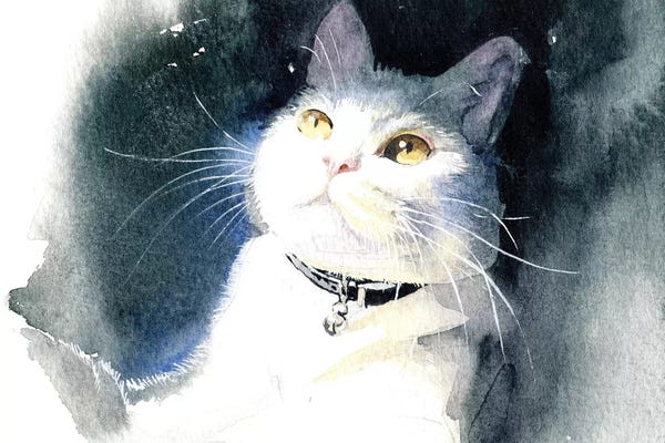 Marina Ignatova: White Cat by Marina Ignatova