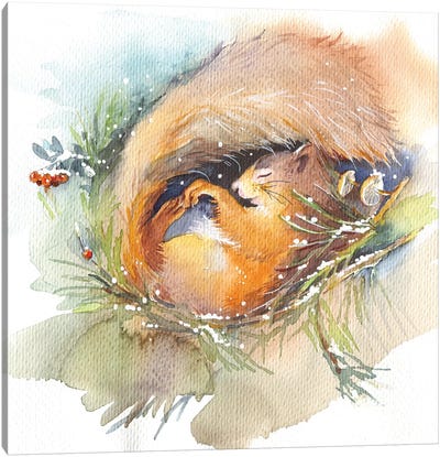 Sleeping Squirrel Canvas Art Print - Rustic Winter