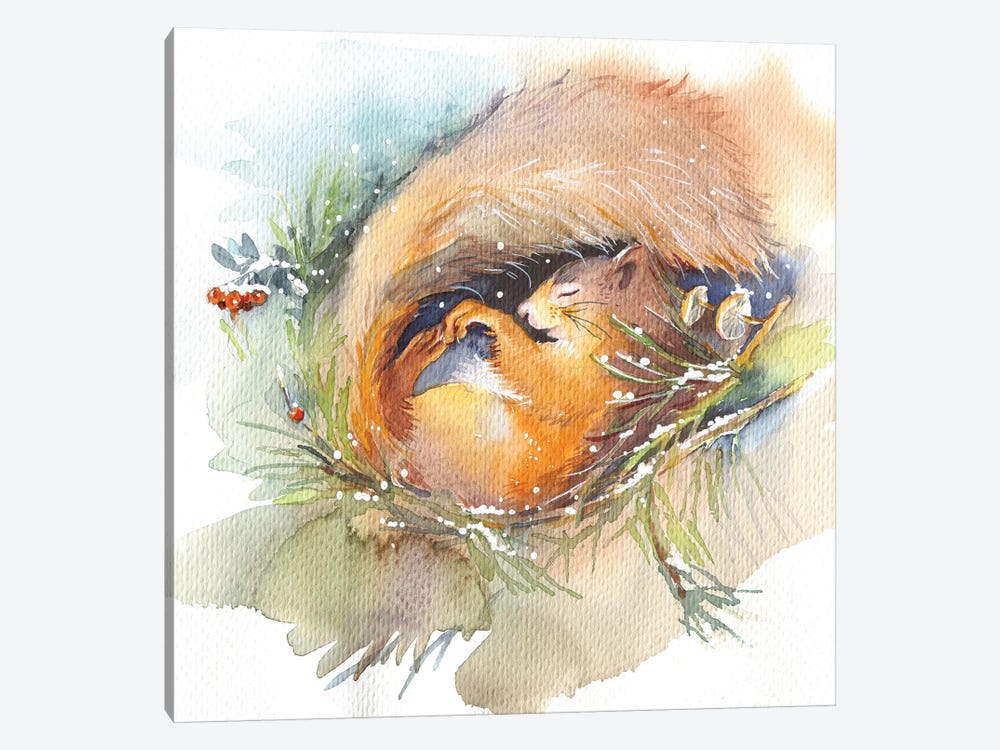 Sleeping Squirrel by Marina Ignatova 1-piece Canvas Print