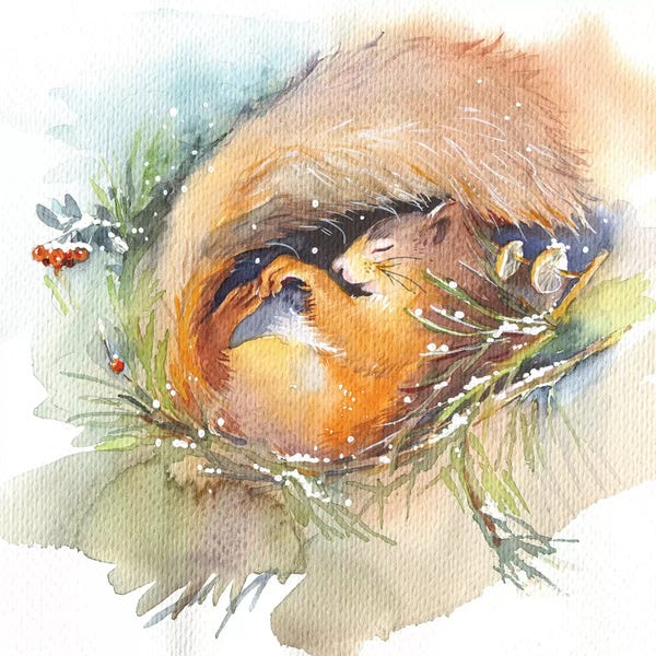 Rodents: Sleeping Squirrel by Marina Ignatova