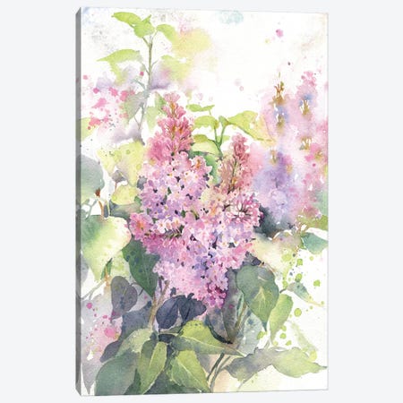 Lilac Canvas Print #IGN71} by Marina Ignatova Canvas Wall Art