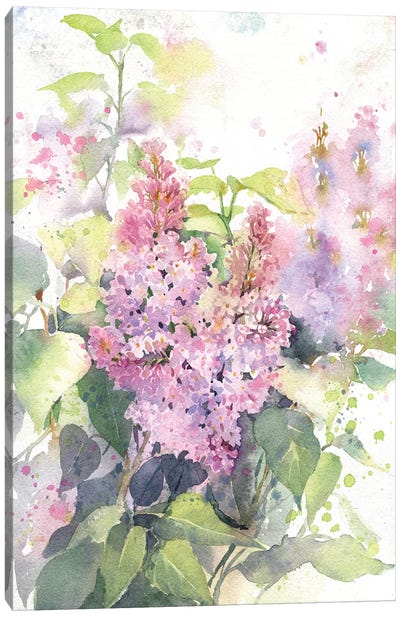 Lilac Canvas Art Print - Marina Ignatova