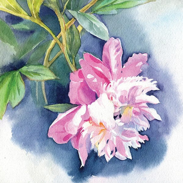 Peonies: Peony I by Marina Ignatova