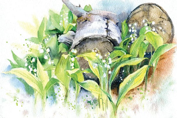 Lily Of The Valley: Lilies Of The Valley by Marina Ignatova
