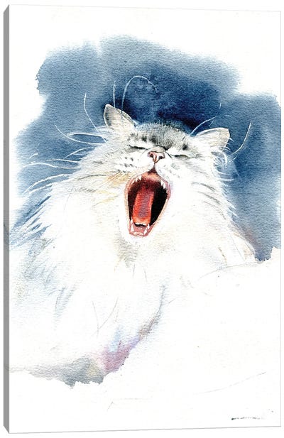 Yawning Cat Canvas Art Print - Marina Ignatova
