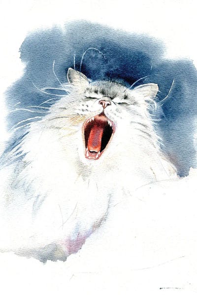 Yawning Cat