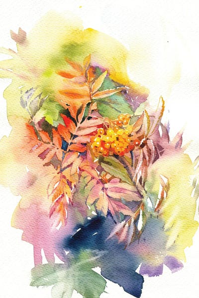 Marina Ignatova: Rowan I by Marina Ignatova
