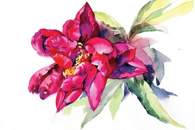 Red Peony by Marina Ignatova canvas print