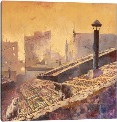 Rome Canvas Art Print - Moody Atmospheres