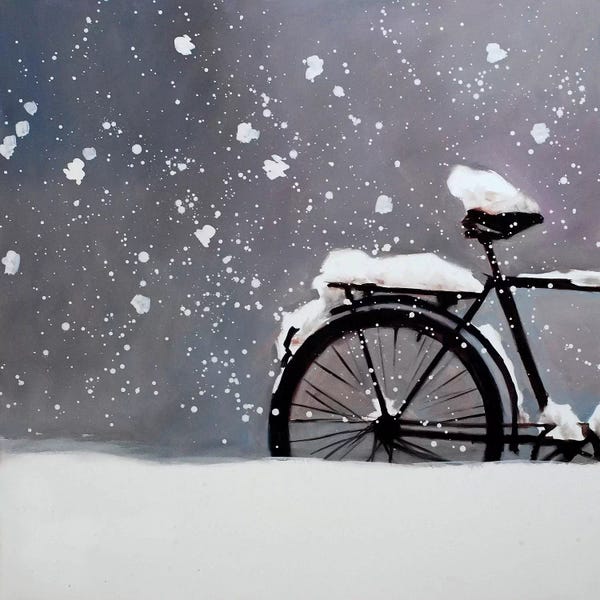 Bicycles: December by Igor Shulman