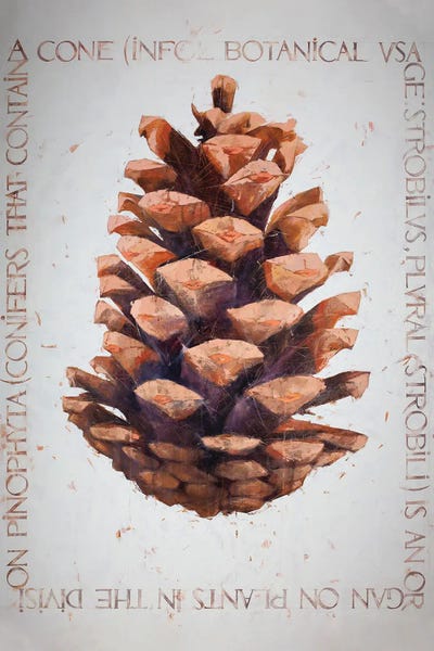 Pine Trees: Cone by Igor Shulman
