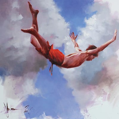 Learn To Fly by Igor Shulman canvas print