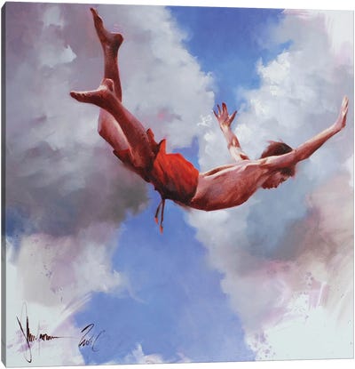 Learn To Fly Canvas Art Print - Free Falling