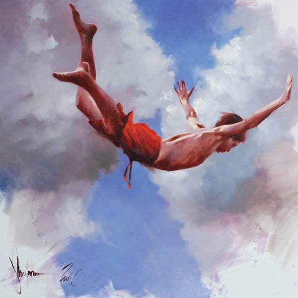 Free Falling: Learn To Fly by Igor Shulman