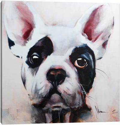 Dog I Canvas Art Print - French Bulldog Art