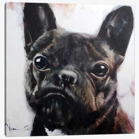 Dog II Canvas Print #IGS15} by Igor Shulman Canvas Wall Art
