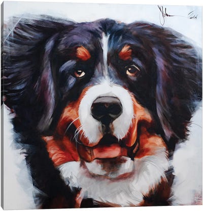 Dog V Canvas Art Print - Bernese Mountain Dogs