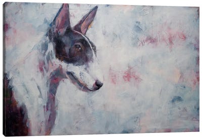 Doubt Canvas Art Print - Bull Terrier Art