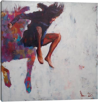 Leap To Nowhere Canvas Art Print - Igor Shulman