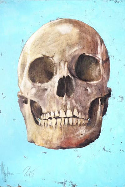 The Skull by Igor Shulman framed canvas print