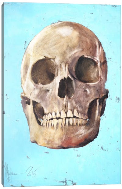 The Skull Canvas Art Print - Igor Shulman