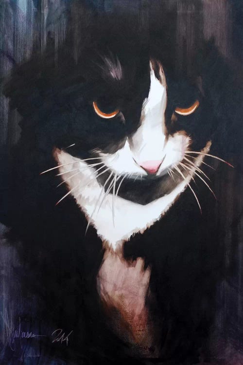 Cat I by Igor Shulman wall art