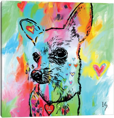 Ely Canvas Art Print - Chihuahua Art