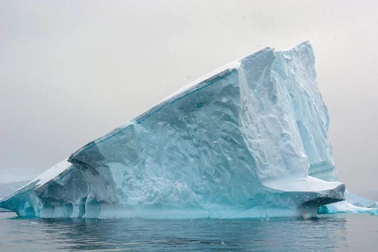 Iceberg, Charlotte Bay, Antarctica