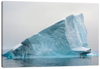 Iceberg, Charlotte Bay, Antarctica Canvas Art Print - Ice & Snow Close-Up Art