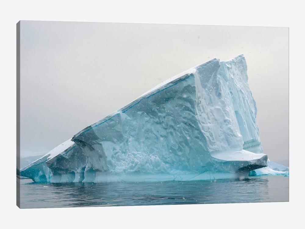 Iceberg, Charlotte Bay, Antarctica by Inger Hogstrom 1-piece Canvas Art Print