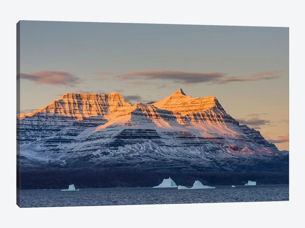 Greenland. Scoresby Sund. Gasefjord, Alpenglow on the mountain with iceberg. by Inger Hogstrom 1-piece Canvas Art