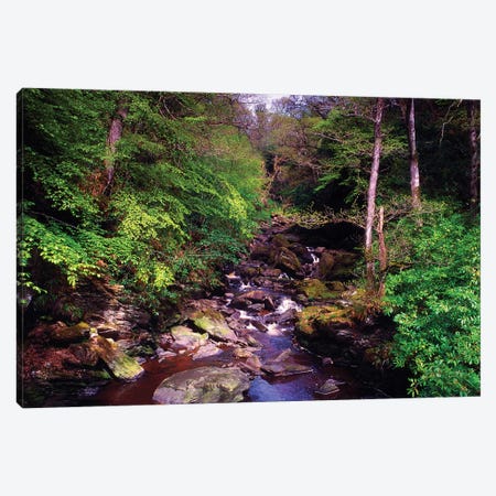 Co Derry, Burntollet River, Ness Woods, Canvas Print #IIM19} by Irish Image Collection Canvas Wall Art
