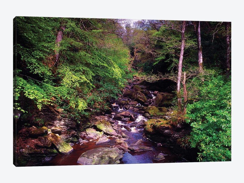 Co Derry, Burntollet River, Ness Woods, by Irish Image Collection 1-piece Canvas Art Print