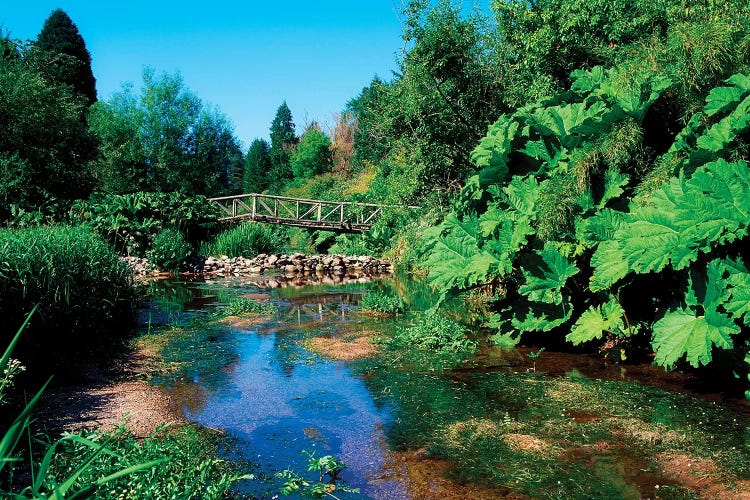 Annes Grove Gardens, Co Cork, Ireland, Rustic Bridge Over The River During Summer