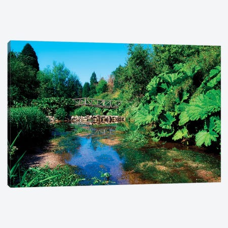 Annes Grove Gardens, Co Cork, Ireland, Rustic Bridge Over The River During Summer Canvas Print #IIM3} by Irish Image Collection Canvas Print
