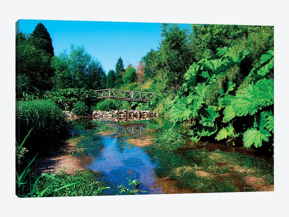Annes Grove Gardens, Co Cork, Ireland, Rustic Bridge Over The River During Summer by Irish Image Collection 1-piece Canvas Artwork