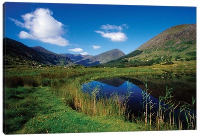 Gearhameen River In Black Valley, Killarney National Park, County Kerry, Ireland; Riverbank Canvas Art Print - Irish Image Collection