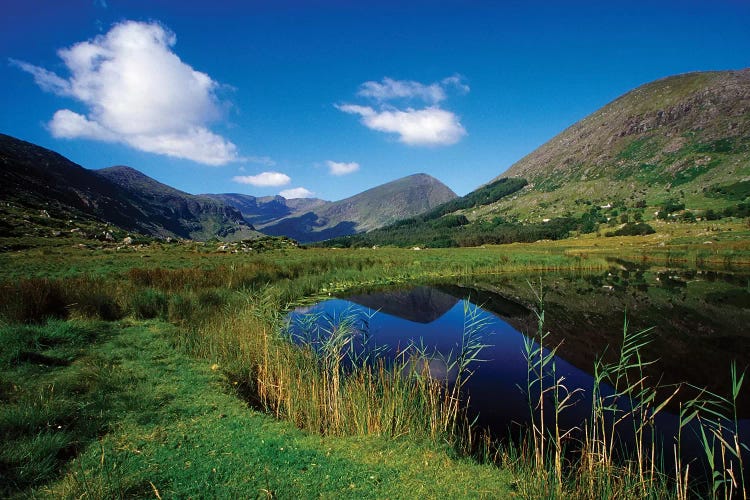 Gearhameen River In Black Valley, Killarney National Park, County Kerry, Ireland; Riverbank