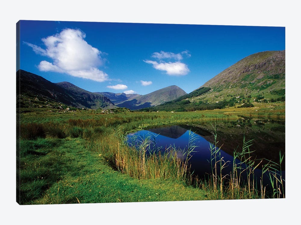 Gearhameen River In Black Valley, Killarney National Park, County Kerry, Ireland; Riverbank by Irish Image Collection 1-piece Canvas Artwork