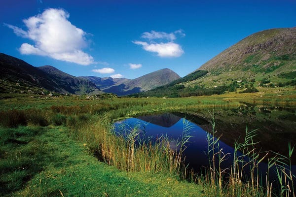 Irish Image Collection: Gearhameen River In Black Valley, Killarney National Park, County Kerry, Ireland; Riverbank by Irish Image Collection