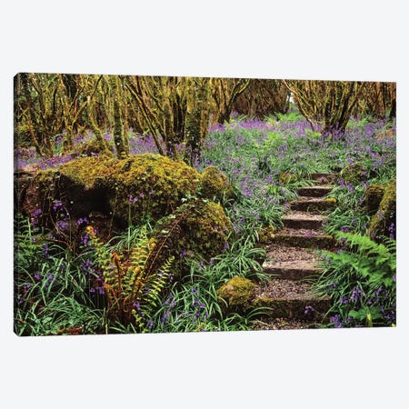 Ardcarrig Gardens, Co Galway, Ireland, Hazel Coppice And Bluebells Canvas Print #IIM4} by Irish Image Collection Canvas Artwork