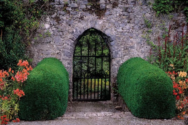 Gates: Gothic Entrance Gate, Walled Garden, Ardsallagh, Co Tipperary, Ireland by Irish Image Collection