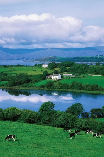 Irish Image Collection: Bantry Bay, Co Cork, Ireland by Irish Image Collection
